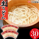 【ふるさと納税】ふっくらモチモチ神埼生うどん 10袋入 【麺 うどん 生うどん 釜揚げうどん 贈答 お中元 お歳暮 贈り物 ギフト ラッピング対応 神埼そうめん 時短 佐賀県産 簡単】(H014125)