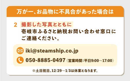 【全2回定期便】壱岐の特産品セット《壱岐市》【吉田商店】[JAK013]