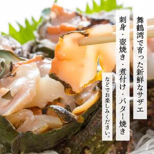 活 さざえ 6kg