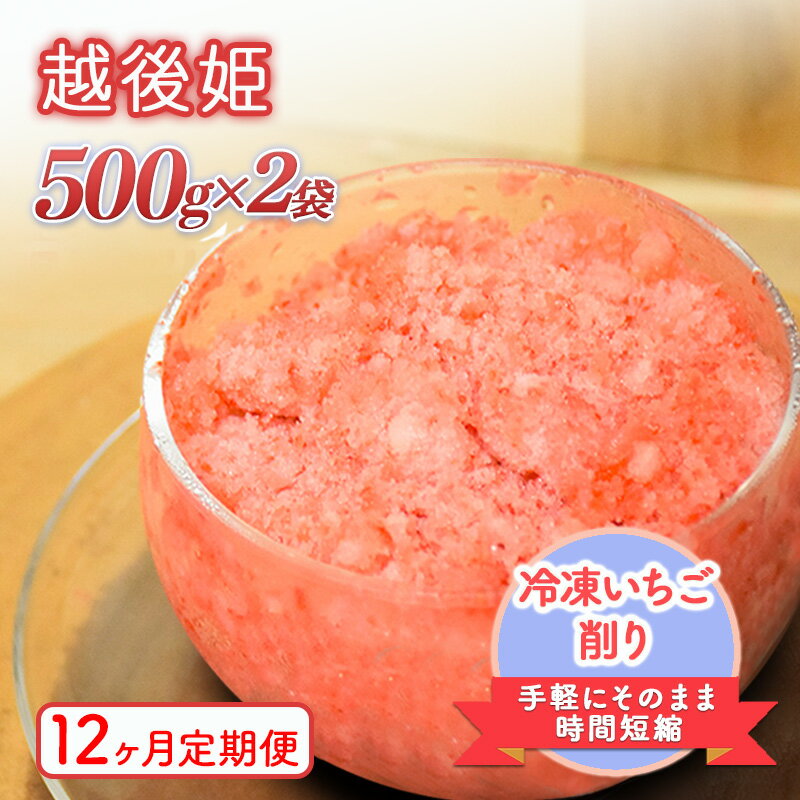 【ふるさと納税】削りいちこ゛越後姫500g×2袋　12ヶ月定期便 冷凍 イチゴ 苺 果物 フルーツ 新潟