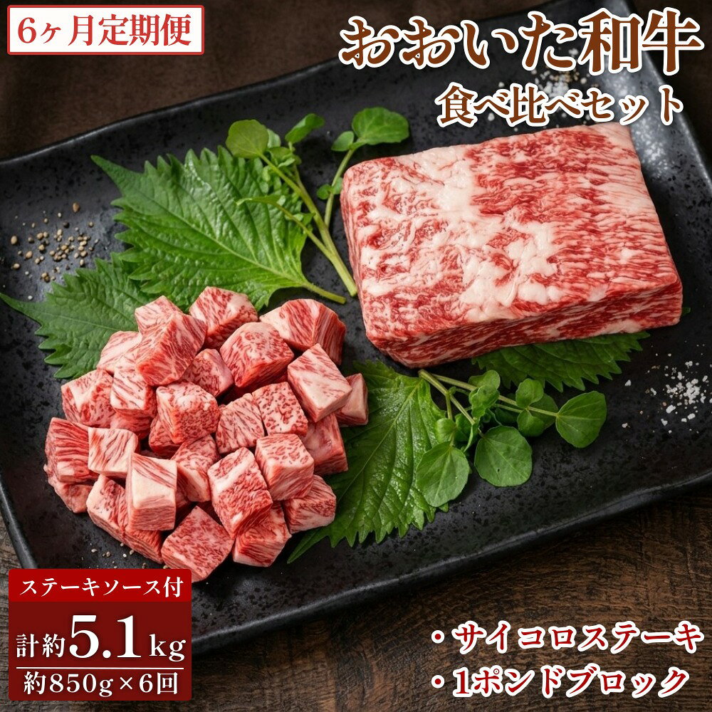 【ふるさと納税】【6カ月定期便】 【人気 食べ比べ セット！】 おおいた和牛 サイコロステーキ・1ポンドブロック