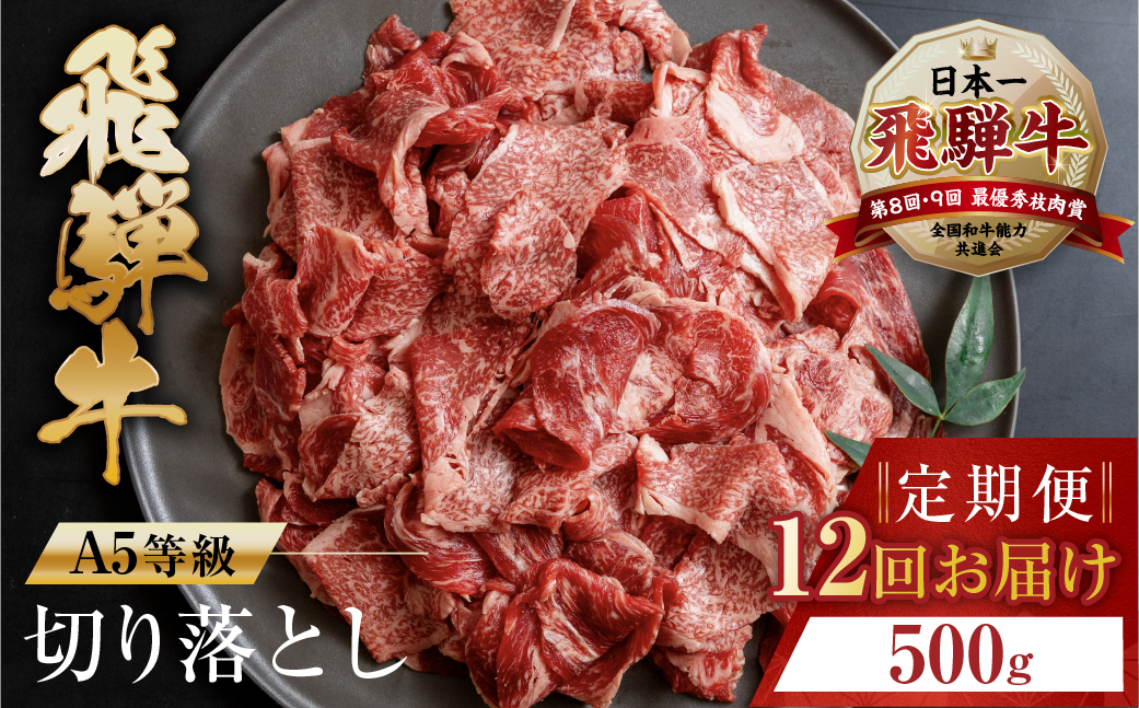 
トキノ屋食品 A5等級 飛騨牛切り落とし 500g 12回お届け定期便[mt410]牛肉 肉 和牛 国産牛 肉 焼肉 すき焼き a5 不揃い 小分け 冷凍 日付指定 トキノ屋食品 本巣市 のし対応可
