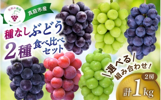 【2027年先行予約】ぶどう 食べ比べ 選べる組み合わせ2種セット 1kg《除草剤不使用》種無し｜ ぶどう 葡萄 果物 岡山県産 種なし ぶどう フルーツ 果物 ぶどう 葡萄 詰め合わせ 種無し ぶどう ブドウ 岡山産 真庭市【hana-2set】