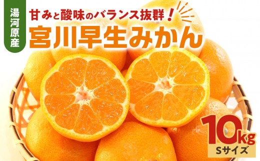 甘みと酸味のバランス抜群・宮川早生みかん　10kg(Sサイズ)　2026年11月中旬～下旬頃に発送予定 | 湯河原町 Sサイズ 10kg 柑橘類 フルーツ 宮川早生みかん 旬