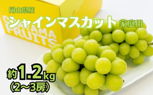 ご家庭用 シャイン マスカット 2～3房 合計約1.2kg 【先行予約 2026年9月上旬から順次発送】