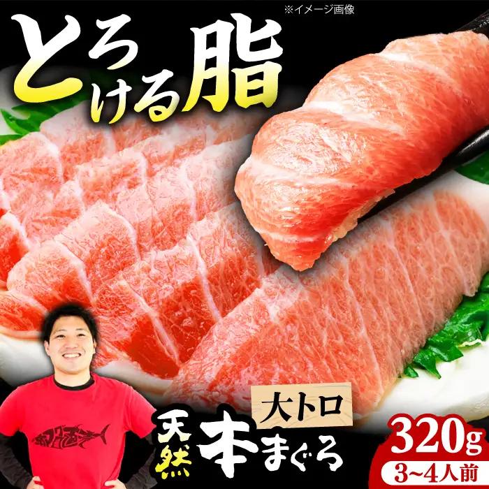 たね熟天然本まぐろ大トロ(320g) [AOCE003] 鮪