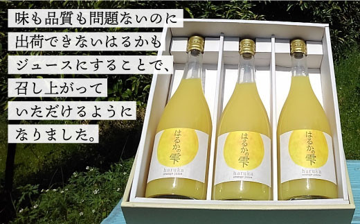ジュース はるか みかん ジュース みかん ミカン ジュース 