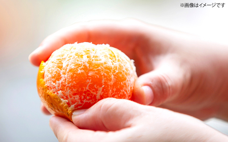 みかん 【年内配送】【訳あり】 原口みかん 約 5kg  [CCX009] 長崎県 西海市 みかん ミカン 蜜柑  みかん 温州みかん 訳あり 傷 不揃い 