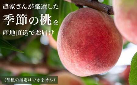 季節の桃 約2kg 5～9玉［ おぶせファーマーズ ］桃 もも モモ ピーチ フルーツ 果物 たまき なつき あかつき 川中島白鳳 なつっこ 川中島白桃 黄金桃 だて白桃 先行予約 長野県産 信州産 