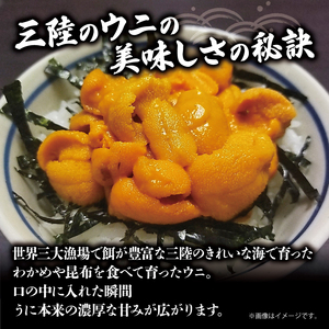 半生うに 200g 100g×2 ＼ うに ／