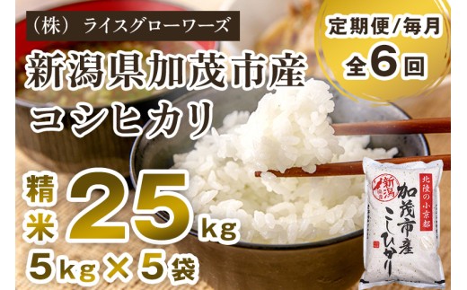 【令和7年産】【定期便6ヶ月毎月お届け】新潟県加茂市産コシヒカリ 精米25kg（5kg×5）《順次出荷》 新潟県産コシヒカリ 新潟産コシヒカリ 新潟コシヒカリ 新潟県産こしひかり 新潟産こしひかり 新潟こしひかり コシヒカリ こしひかり お米 白米 米 定期便 （株）ライスグローワーズ