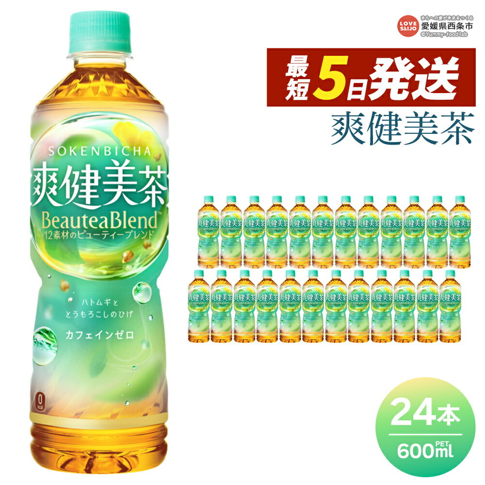 【ふるさと納税】＜爽健美茶 600ml×24本＞ ※最短5営業日で出荷します。スピード発送 選べる 配送回数 1回 2回 3回 定期便 単品 コカ・コーラ ペットボトル PET お茶 ブレンド茶 カフェインゼロ ノンカフェイン 飲料 清涼飲料水 ソフトドリンク 愛媛県 西条市 【常温】