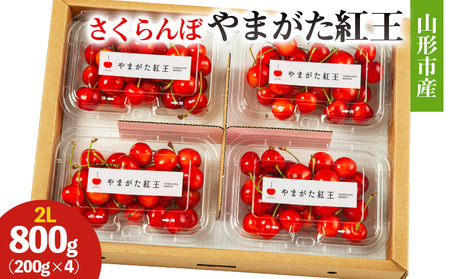 山形市産 さくらんぼ(やまがた紅王)2L 800g(200g×4) 【令和8年産先行予約】FS25-026