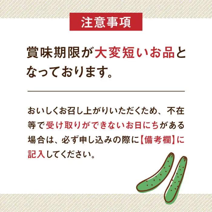 新鮮きゅうり 約5kg /株式会社 y's company（utsu和ya）[UDX002]きゅうり