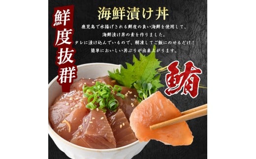 マグロ漬け丼100g×10袋(山川町漁協/010-1857) 海鮮 鮪 まぐろ マグロ マグロ漬け丼 マグロ丼 まぐろ丼 漬け丼 丼 のっけ丼 海鮮丼 惣菜 総菜 簡単 調理済み セット 漁協 指宿 
