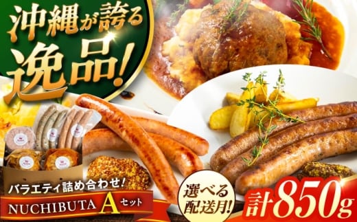 【2026年2月発送】 『NUCHIBUTA Aセット』 豚肉 ハンバーグ ソーセージ 詰め合わせ お取り寄せ 国産 ギフト 冷凍 沖縄市 / DELICATESSEN NUCHIBUTA[BCAR003-2]