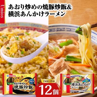 ふるさと納税 大江町 Umios 冷凍食品 あおり炒めの焼豚炒飯&amp;横浜あんかけラーメン詰合せセット 045-006
