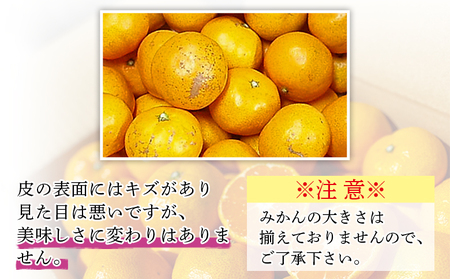 愛媛県明浜産「皮より中身」みかん（10㎏）