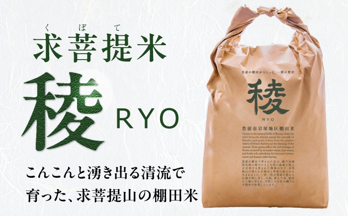新米 産地直送 精米 国産 おすすめ 人気