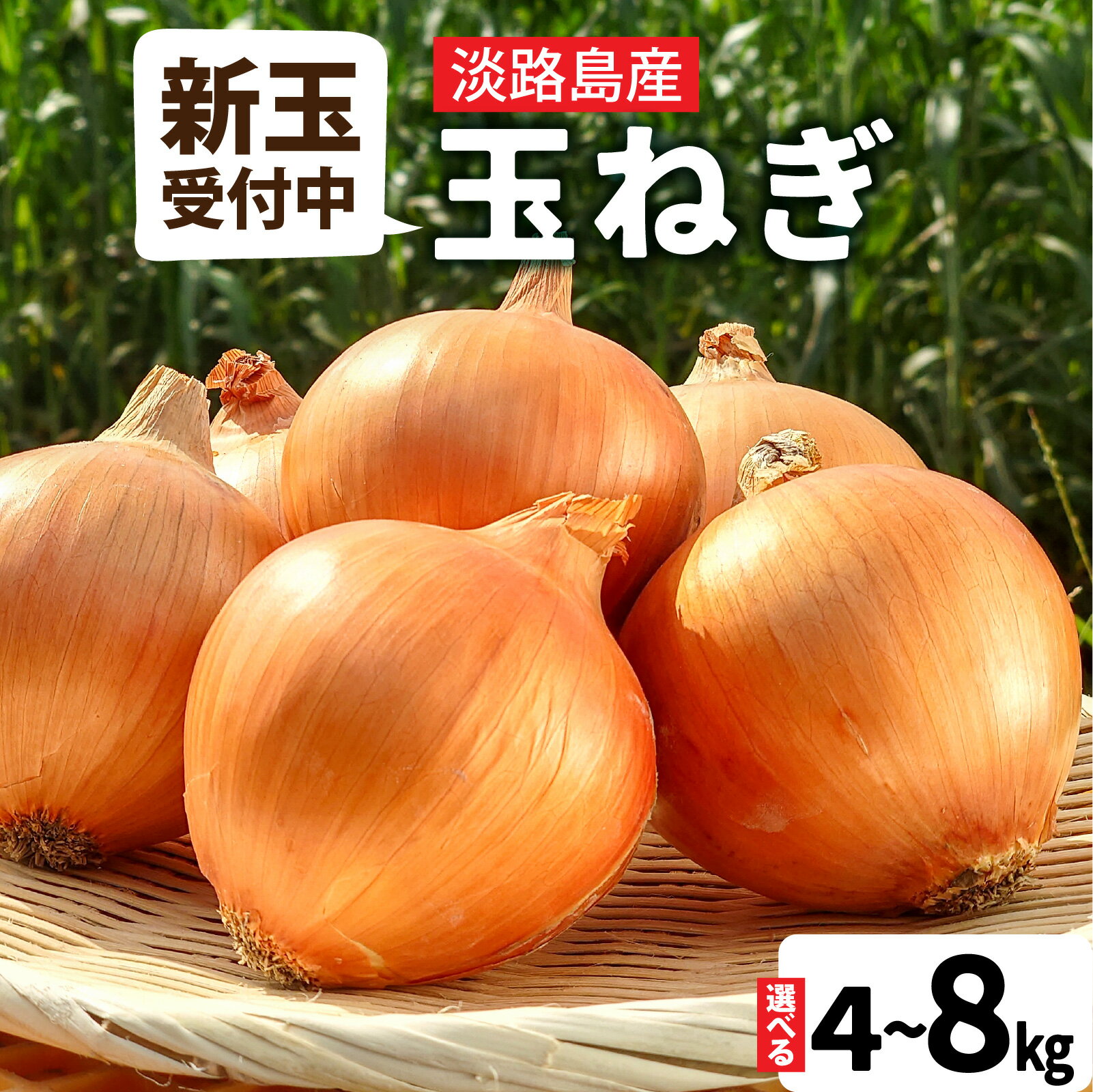 【ふるさと納税】【熟成玉ねぎ先行予約】【新玉ねぎ受付中】淡路島産 フルーツ玉ねぎ 選べる種類容量 【熟成 / 新玉】【4kg / 8kg】サイズ色々 / 淡路 淡路島 あわじ たまねぎ タマネギ 玉葱 淡路島産玉ねぎ カレー シチュー バーベキュー スープ サラダ 料理 訳あり 春野菜