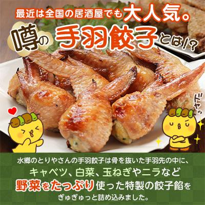 ふるさと納税 香取市 2年連続グルメ大賞受賞!手羽先餃子20本セット/水郷のとりやさん |  | 01