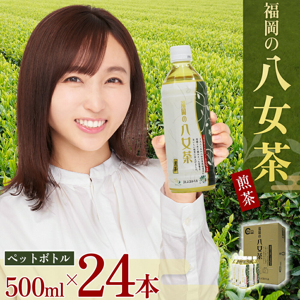 【ふるさと納税】福岡の 八女茶 ペットボトル 500ml×24本入り 八女茶 計24本 greentea 500ml 水分補給 お茶 ソフトドリンク 飲料 飲み物 備蓄 送料無料 2K1