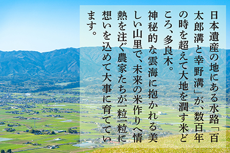 令和5年度米 多良木町産 こめたらぎ 30kg ×1袋 お米 新米 白米 精米 熊本県産 多良木町 にこまる 有機肥料使用 大容量 ふっくら 甘い 044-0509-a