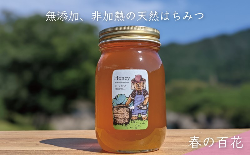 
            [№5308-0241]【先行予約 2025年6月20日より発送】合計600g 天然蜂蜜 国産蜂蜜 非加熱 生はちみつ 岐阜県 美濃市産 春 (蜂蜜600g入りガラス瓶1本)A5 深田養蜂のハチミツ
          