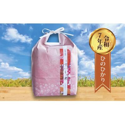 ふるさと納税 嬉野市 【熟成すいしゃ米】佐賀県産 ひのひかり5Kg