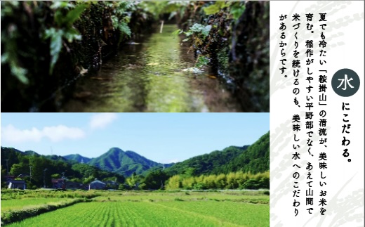 【有機肥料米】藤子ばぁちゃんのまごころ米 コシヒカリ 10kg（5kg×2袋） 令和7年産 新米 精米 白米 | 石川県 小松市 【有限会社ジャパンファーム】