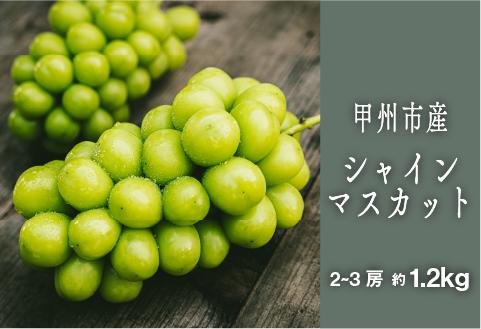 甲州シャインマスカット『果汁滴るフルーツの王様』約1.2kg 2～3房【2025年発送】（SHP）B-452