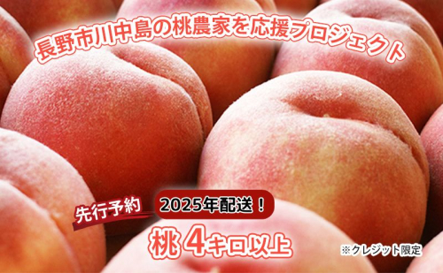 【先行予約】長野市川中島の桃農家を応援プロジェクト　2025年配送！桃４キロ以上　※クレジット限定