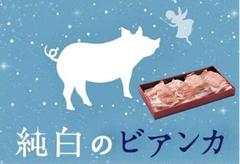 
純白のビアンカ 豚ロース焼肉用 800g 豚肉 透き通るような 白い脂身 歯切れの良い 肉質 香り高い 上品な甘み 1D05009

