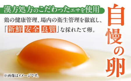 【3回定期便】きみ恋し 箱入り 40個（36個+割れ保証4個）×3ヶ月 総計120個 たまご 卵 玉子 タマゴ 鶏卵 濃厚 玉子焼き 卵焼き オムレツ たまごかけご飯 冷蔵 広川町/伊藤養鶏場 [AF