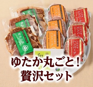 ご馳走家ゆたか贅沢セット ハンバーグ 豚丼 チーズ お取り寄せ 贈り物 ギフト 冷凍