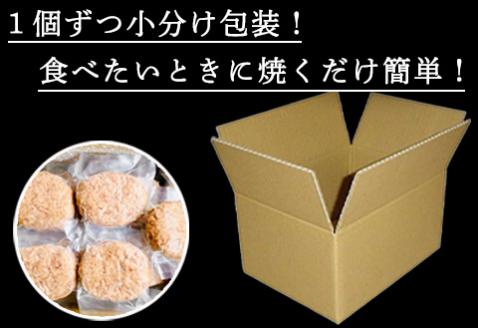 【7月中発送】1957年創業 特上ハンバーグ 140g×25個(合計3.5kg) 「唐津バーグ」商標登録済!! 冷凍真空パック 惣菜「2024年 令和6年」