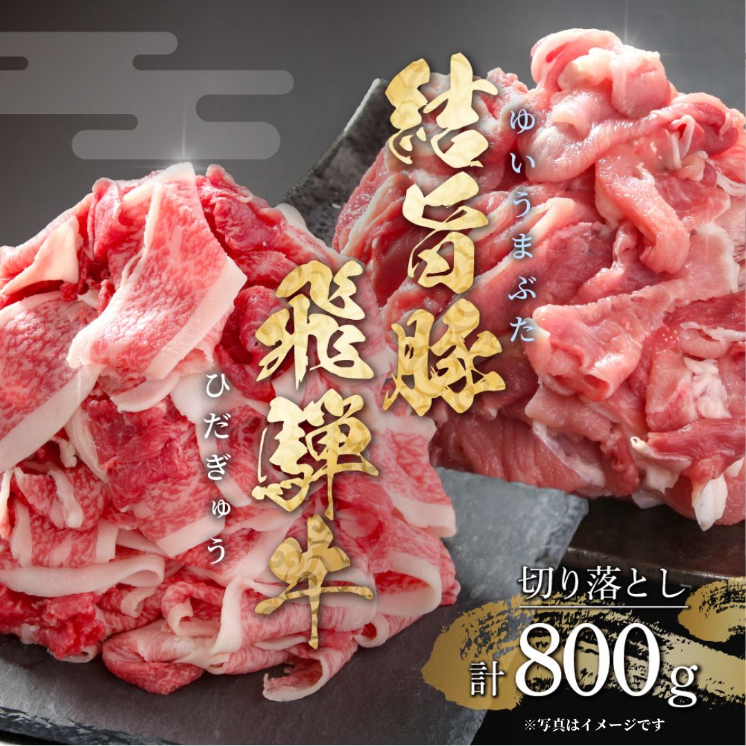 【ふるさと納税】年内お届け 年内配送 訳あり 飛騨牛 切落とし 300g（150g×2パック）結旨豚 切落し 500g 冷凍真空パック | 肉 お肉 切り落とし すき焼き すきやき 黒毛和牛 和牛 個包装 小分け 人気 おすすめ 牛肉 豚肉 食べ比べ セット ギフト お取り寄せ【MS018】