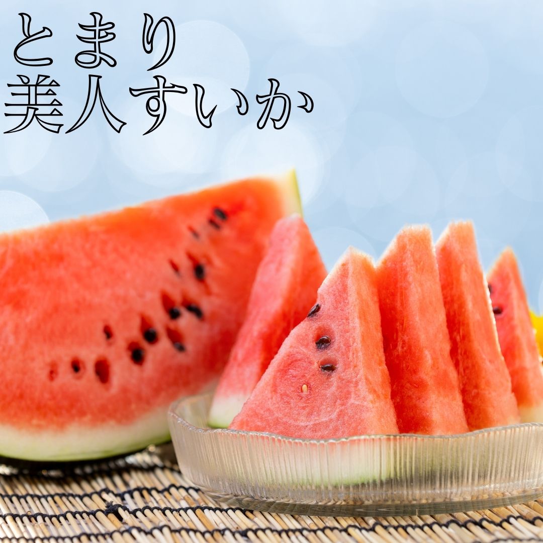 【ふるさと納税】とまり美人西瓜