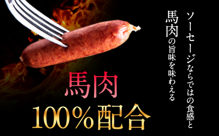 馬肉 ソーセージ 2kg|ソーセージソーセージソーセージ