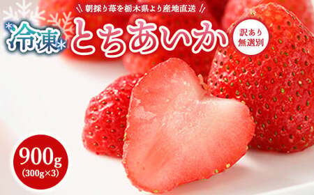 【訳あり】冷凍いちご とちあいか 900g（300g×3） ｜いちご 