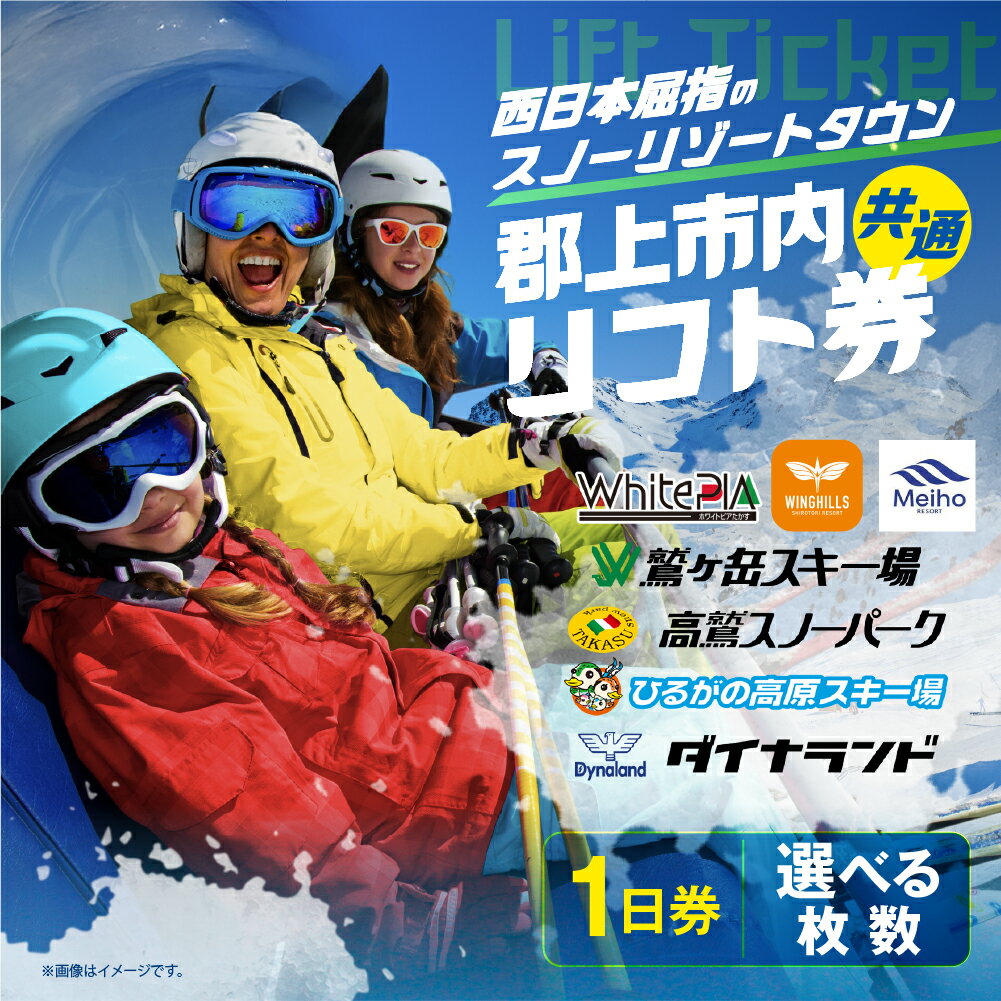 【ふるさと納税】岐阜県郡上市 スキー場 共通リフト1日券 リフト券 引換券（1枚～10枚）高鷲・白鳥・明宝エリア対応 ダイナランド・高鷲スノーパーク・めいほう・鷲ヶ岳・ホワイトピア・ウイングヒルズ白鳥・ひるがの あとから選べる 20000円 40000円 10万円 2万円