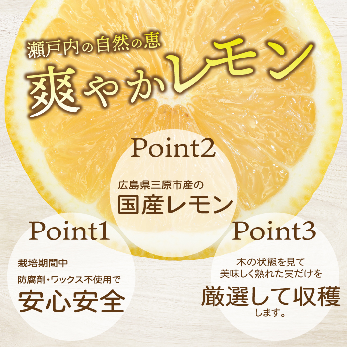 【おくはち農園】レモン 2.5kg 《2025年11月～2026年3月発送予定》栽培期間中 防腐剤 ワックス 不使用 旬 柑橘 かんきつ フルーツ 果物  166021