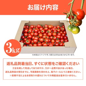 トマト魂！峯本の贅沢フルティカトマト（中玉サイズ）3kg 3キロ 先行予約 ミディトマト フルーツトマト トマト ふるさと納税 フルティカ とまと サラダ 野菜 美味しい 甘い【R01038】