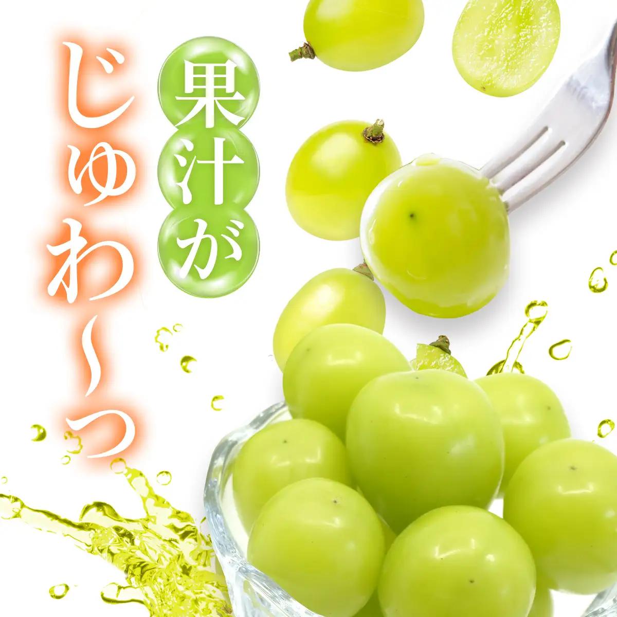 【2026年発送★先行予約】山梨県　笛吹産　シャインマスカット　700g（1房）秀品 215-006-26y