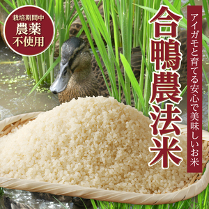 【令和7年度新米】山梨・北杜　米物語(12品種白米アソートセット) 米 12品種 白米 アソートセット 安心 安全 農薬不使用 化学肥料不使用 山梨県 北杜市