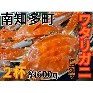 塩ゆで ワタリガニ 計600g (2杯) 冷凍 ボイル ワタリガニ 渡り蟹 海鮮 かに 新鮮 カニ 魚介 海の幸 ボイル ワタリ蟹 カニ