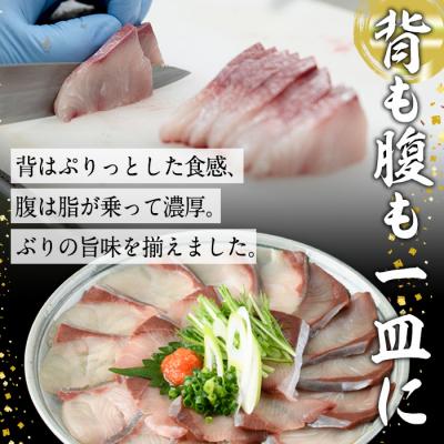 ふるさと納税 佐伯市 ブリしゃぶ食べ比べセット(合計300g) |  | 02