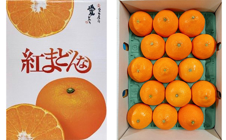 【全3回】  旬のフルーツ まつやま農林水産物ブランド 定期便 シャインマスカット 紅まどんな マドンナ せとか 愛媛 松山【FA0743】