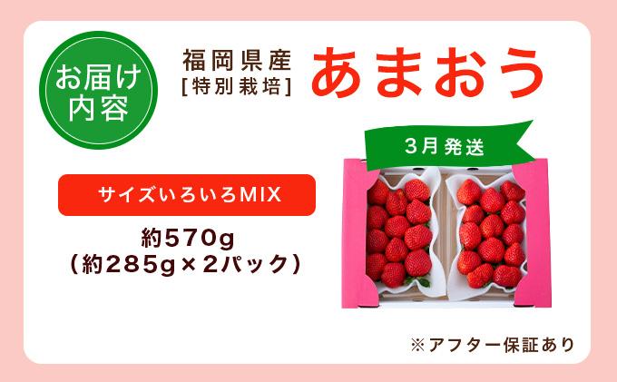 福岡県産 特別栽培 あまおう サイズいろいろMIX 約570g（約285g×2パック）【3月発送】　農園直送 アフター保証 先行予約 福岡産 送料無料 ケーキ ギフト お祝い 限定 季節限定 UN00