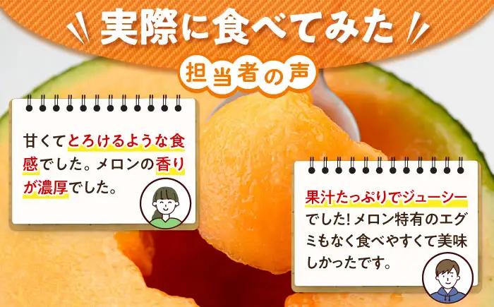 【先行予約】キングルビー 4-5玉  [AJAM005] メロン 産地直送